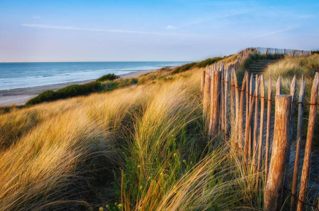 Sea The Sea - Feel The Sea - Touch The Sea Leilighet Bredene Eksteriør bilde