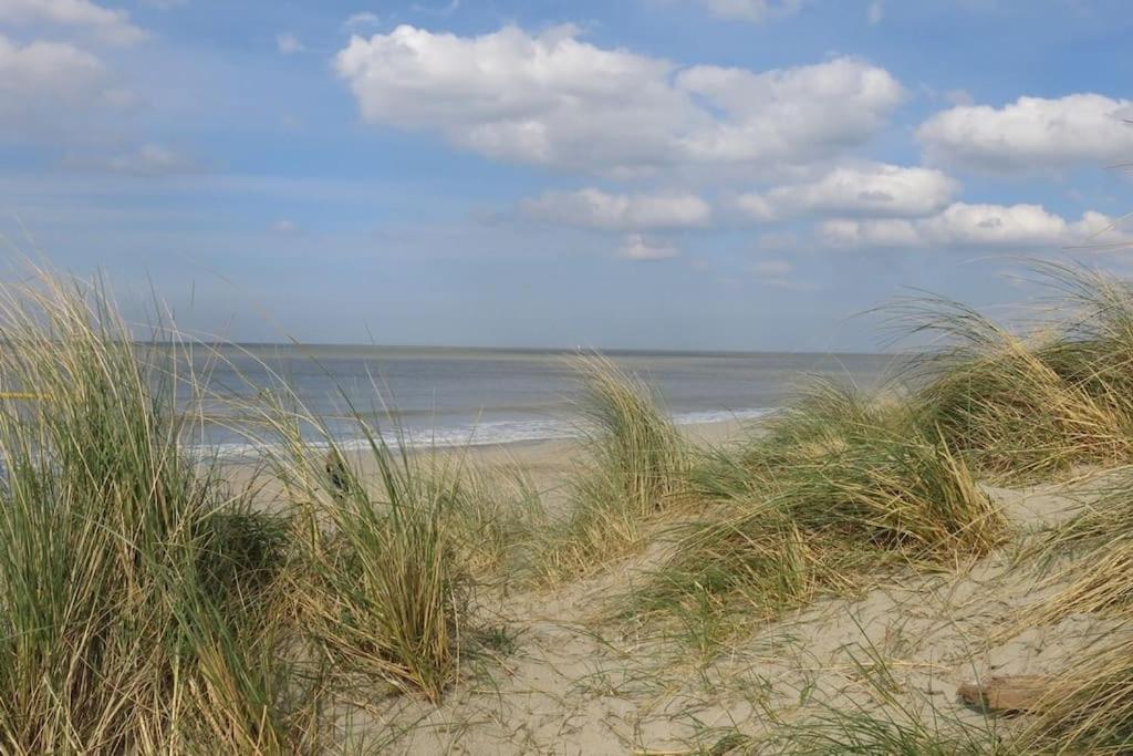 Sea The Sea - Feel The Sea - Touch The Sea Leilighet Bredene Eksteriør bilde